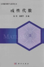 大学数学教学与改革丛书 线性代数