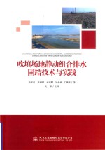 吹填场地静动组合排水固结技术与实践