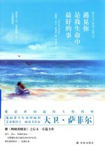 萨菲尔幻想小说系列 遇见你是我生命中最好的事