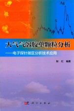 大气气溶胶单颗粒分析 电子探针微区分析技术应用
