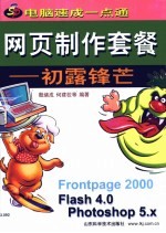 网页制作套餐 初露锋芒