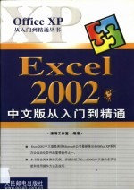 Excel 2002中文版从入门到精通