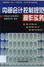 内部会计控制规范操作实务