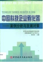 中国科技企业孵化器 案例分析与发展对策