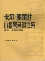 卡尔·弗莱什小提琴音阶体系:每日大、小调音阶练习