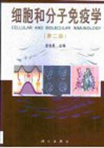 细胞和分子免疫学 第2版