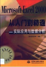 Microsoft Excel 2000从入门到精通 实际应用与数据分析