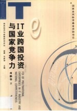 IT业跨国投资与国家竞争力
