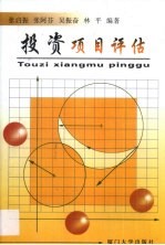 投资项目评估