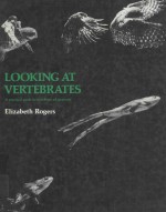 LOOKING AT VERTEBRATES A PRACITICAL GUIDE TO VERTEBRATE ADAPTATIONS
