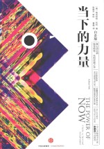 当下的力量 白金版