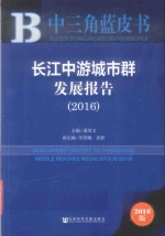 长江中游城市群发展报告 2016版