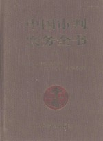 中国审判实务全书 下