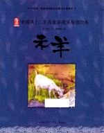 中国风十二生肖童话故事原创绘本 未羊