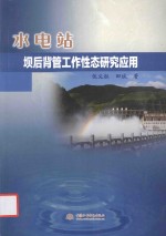 水电站坝后背管工作性态研究应用