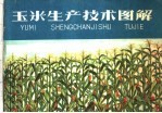 玉米生产技术图解