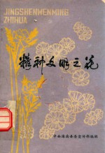 精神文明之花