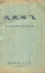 凤凰腾飞 纪念抗震十周年文艺作品专辑