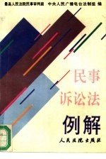 民事诉讼法例解