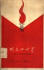 明天的世界 伊拉克诗人诗集