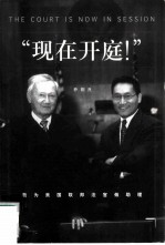 现在开庭! 我为美国联邦法官做助理