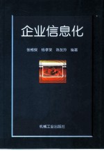 企业信息化