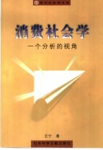 消费社会学 一个分析的视角