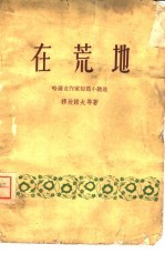 在荒地 哈萨克作家短篇小说选