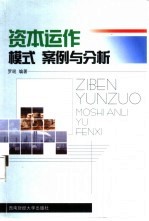资本运作模式 案例与分析