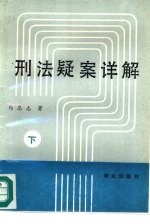 刑法疑案详解 下