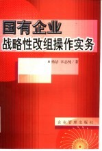 国有企业战略性改组操作实务