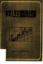 中华人民共和国刑法图解
