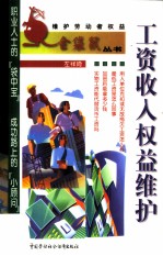工资收入权益维护