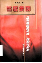 驾驭集团 企业集团的形成、组织与战略