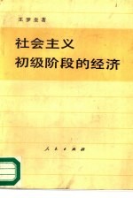 社会主义初级阶段的经济