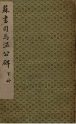 苏书司马温公碑 下