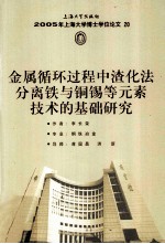 2005年上海大学博士学位论文 20 金属循环过程中渣化法分离铁与铜锡等元素技术的基础研究