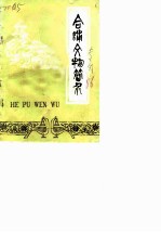合浦文物简介