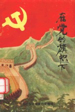在党的旗帜下