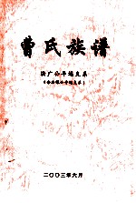 曹氏族谱 法广公平远支系