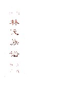 河西林氏族谱 连城林坊