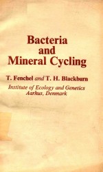 BACTERIA AND MINERAL CYCLING