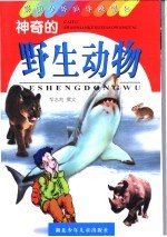 神奇的野生动物