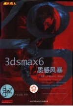 3DS MAX 6质感风暴