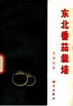 东北番茄栽培