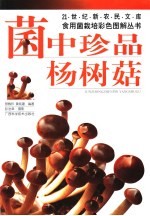 菌中珍品-杨树菇