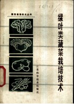 绿叶类蔬菜栽培技术
