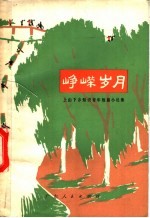 峥嵘岁月 上山下乡知识青年短篇小说集