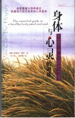 身体与心灵的对话 欲望城市的绿色心情