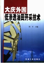 大庆外围低渗透油田开采技术